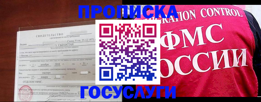 временная регистрация поиск в Волхове